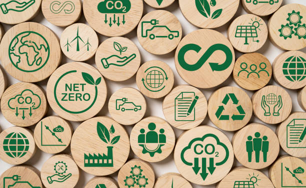 Biodegradable at Eco-Friendly na Materyal sa Modernong Paggawa ng Sasakyan